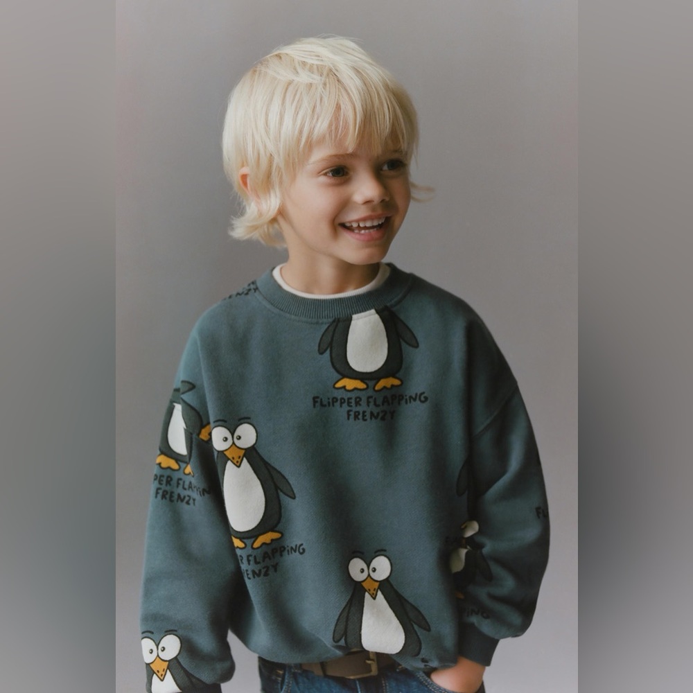 $18 ADD ON Zara sweatshirt‎ 3Y penguin boys pullover